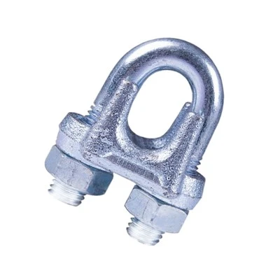 Galvanized Irin Waya Kijiya ti Clips